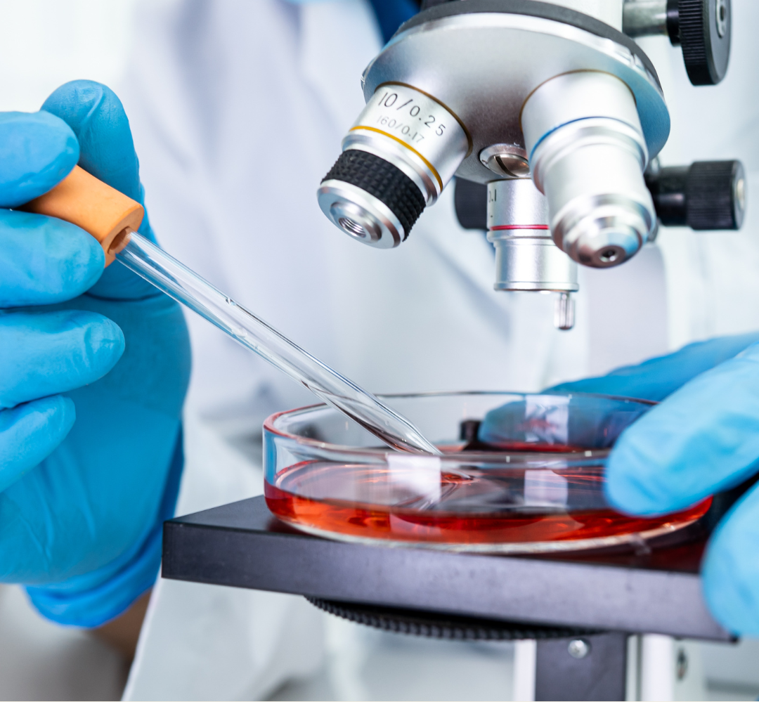 Exploración profesional en ciencias